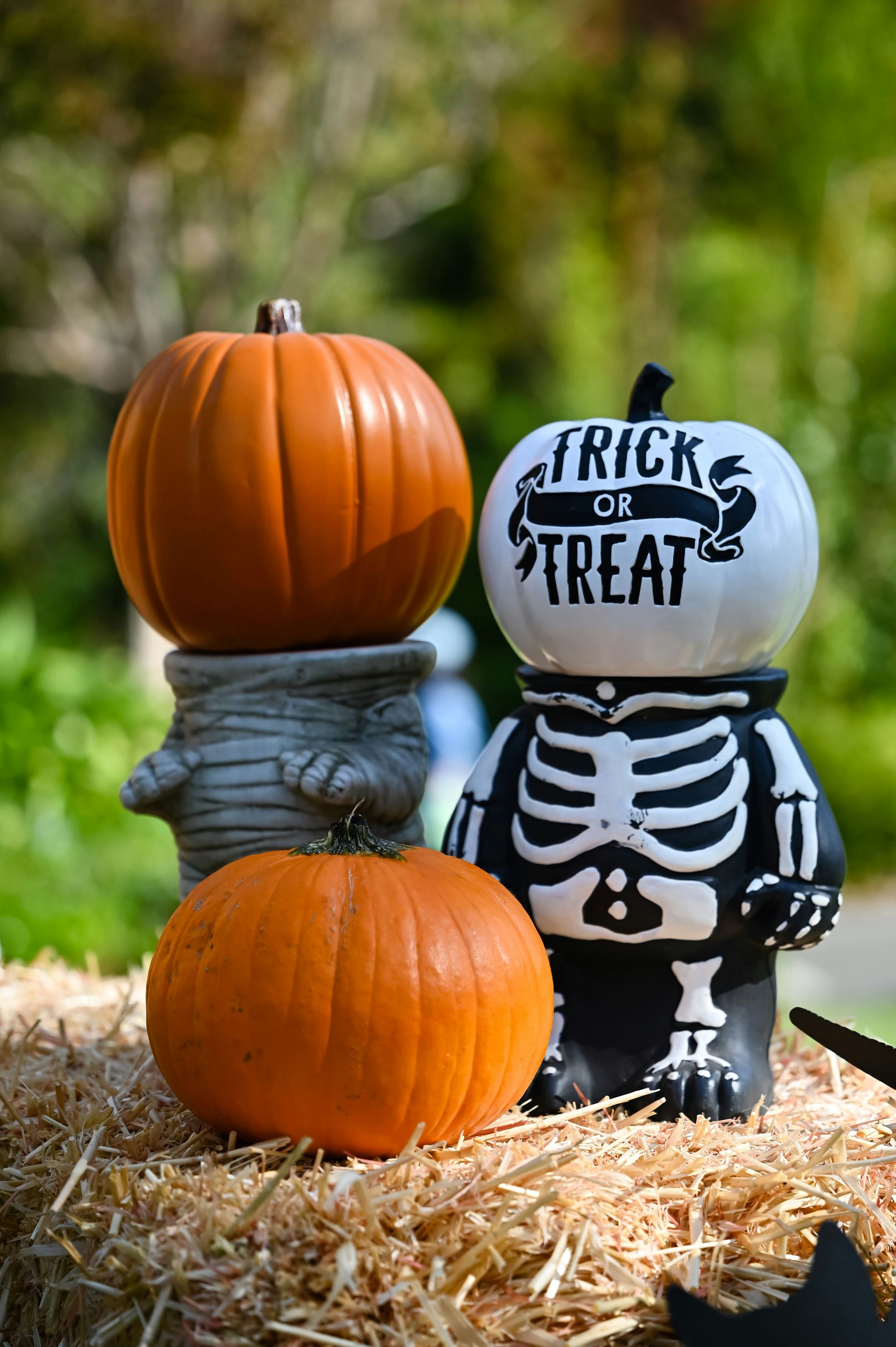 trick or treat written image